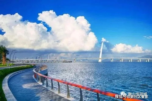 晗山悅海城 前海蛇口自貿(mào)區(qū)門戶之作,約160 180㎡品質(zhì)大宅