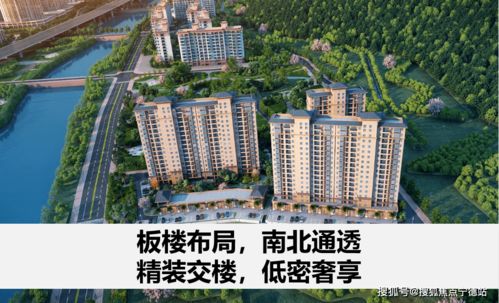 粵港澳大灣區(qū)西岸經(jīng)濟引擎 珠海 未來前景比肩深圳蛇口 珠海山水閱琴灣