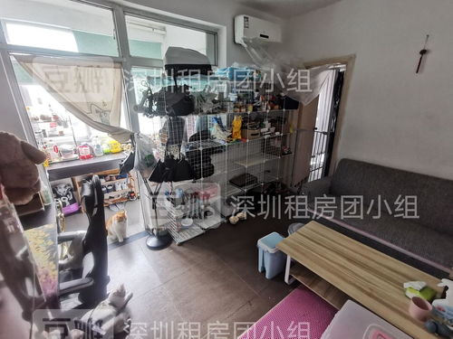 二號線 蛇口東角頭地鐵站旁邊五分鐘,一房一廳...