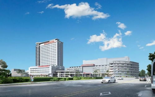 全市率先 達(dá)州市二醫(yī)院ptcs超微創(chuàng)技術(shù),解決復(fù)雜結(jié)石難題