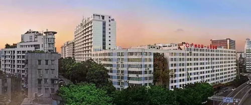 海外招聘 與眾不同的你,哈佛見