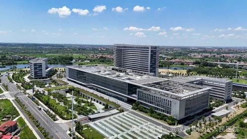 黃陂人民醫(yī)院,招人了