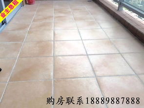 地鐵旁陽(yáng)光海濱花園一居室 深圳蛇口優(yōu)質(zhì)租房推薦