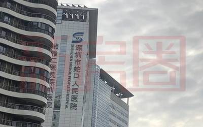 蛇口晗山悅海城 小體量綜合體，地鐵12號(hào)線加持，僅90套住宅待售