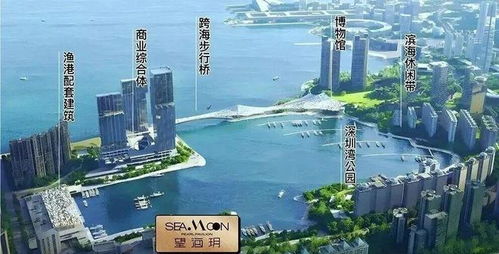 蛇口海景公寓 戶戶帶陽臺，端戶通燃?xì)?，毗鄰蛇口人民醫(yī)院