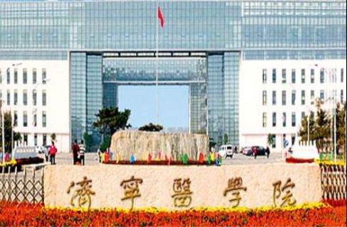 學(xué)術(shù)誠信再響警鐘 濟寧市第一人民醫(yī)院與蛇口人民醫(yī)院論文因蛋白條帶重復(fù)遭質(zhì)疑